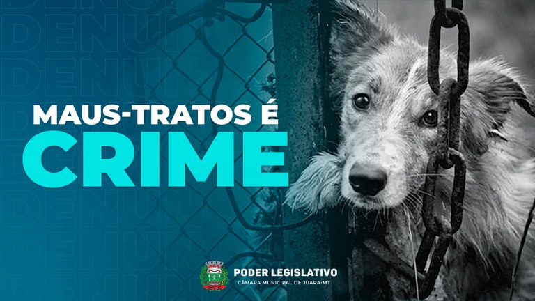 Entenda a Legislação: Abandono e maus-tratos aos animais é crime ...