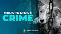 Entenda a Legislação: Abandono e maus-tratos aos animais é crime