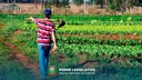 Projeto de Lei institui a Semana da Agricultura Familiar em Juara