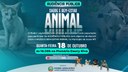 Saúde e bem estar animal: Tema será debatido em Audiência Pública nesta quarta-feira