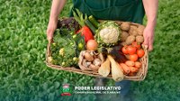 Semana da Agricultura Familiar pode ser realizada em Juara